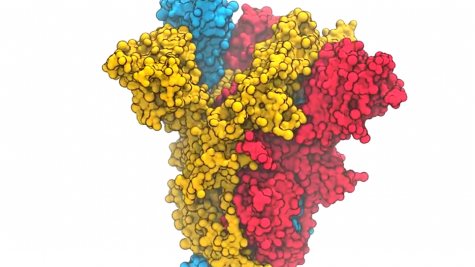 SBU: Researchers Developing Computer Models That Could Speed Coronavirus Drugs