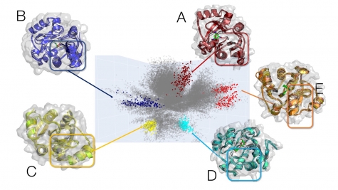 AI Fast-Tracks Drug Discovery to Fight COVID-19