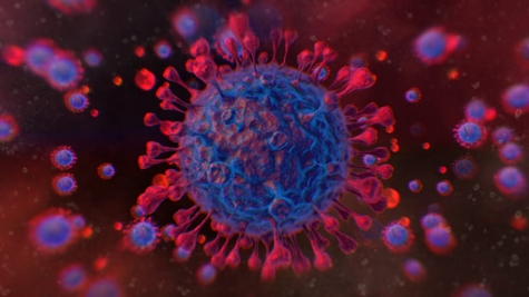 Attacking The Novel Coronavirus With Supercomputing Cycles