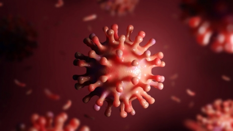 HPCWire: At SC20, an Expert Panel Braces for the Next Pandemic