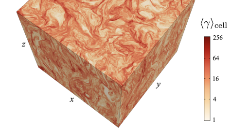 Gamma Cell Graphic