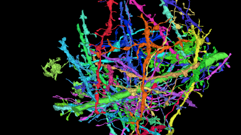 Ferrier INCITE graphic