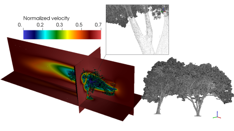 An example flow field for a real tree case from Lidar data