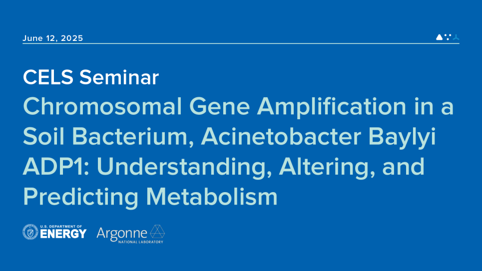 CELS seminar graphic featuring the title and date.