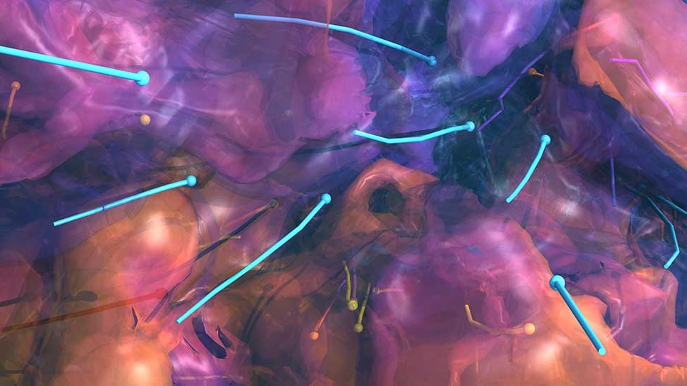 neutrino-driven roiling convection of the nuclear material