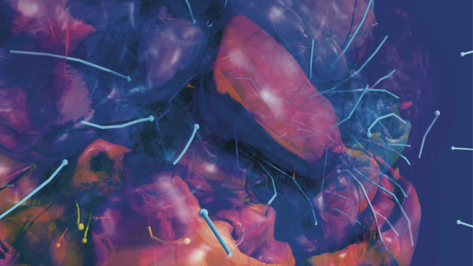 2019 Science Report