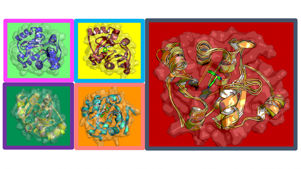 AI-driven MD simulations provide insights into COVID-19