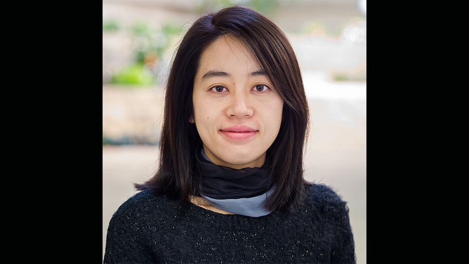 Ying Li