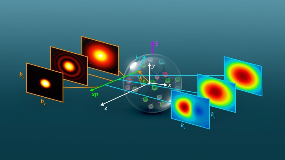 Illustration of two-dimensional slices of the nucleon