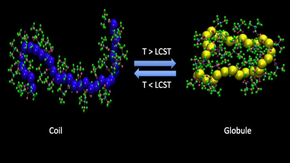 Atomistic simulations elucidating the coil-to-globule conformational changes in thermosensitive polymers. Atomistic simulations elucidating the coil-to-globule conformational changes in thermosensitive polymers.
