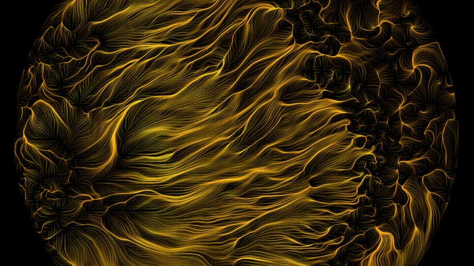 The field displays the complex dynamics of the velocity field The field displays the complex dynamics of the velocity field