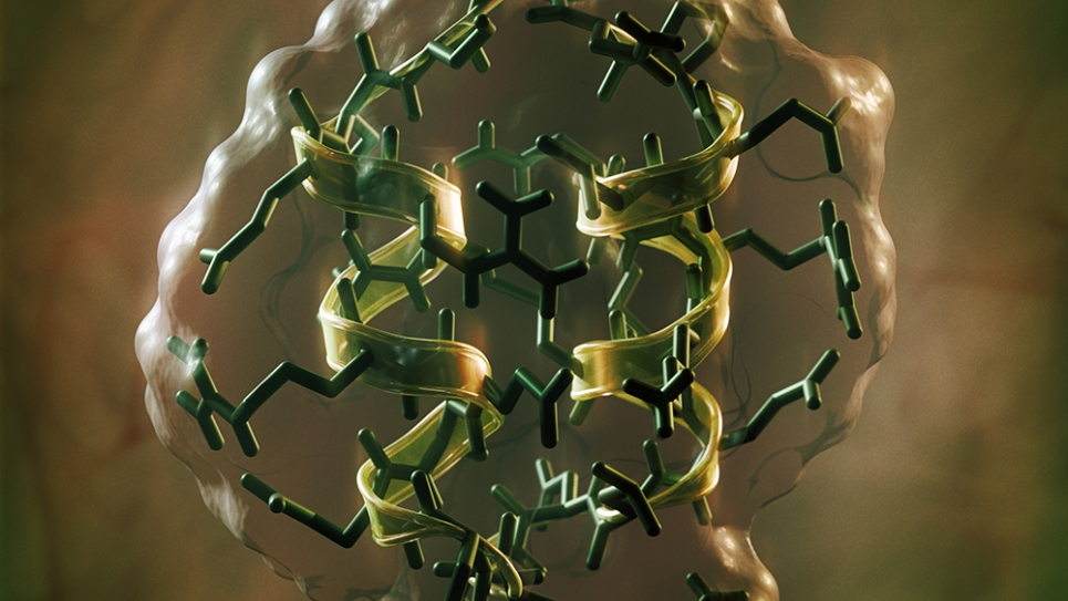 Mixed DL Peptide An artificial peptide made from a mixture of natural L-amino acids and non-natural, mirror-image D-amino acids