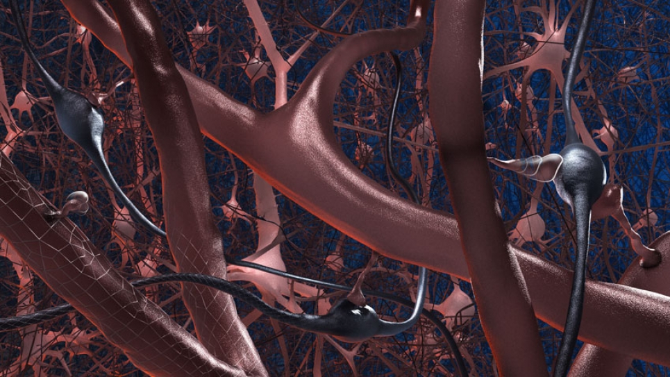 A visualization of 1 percentof the neurons in a digital reconstruction andsimulation of the neocortex. A visualization of 1 percentof the neurons in a digital reconstruction andsimulation of the neocortex.