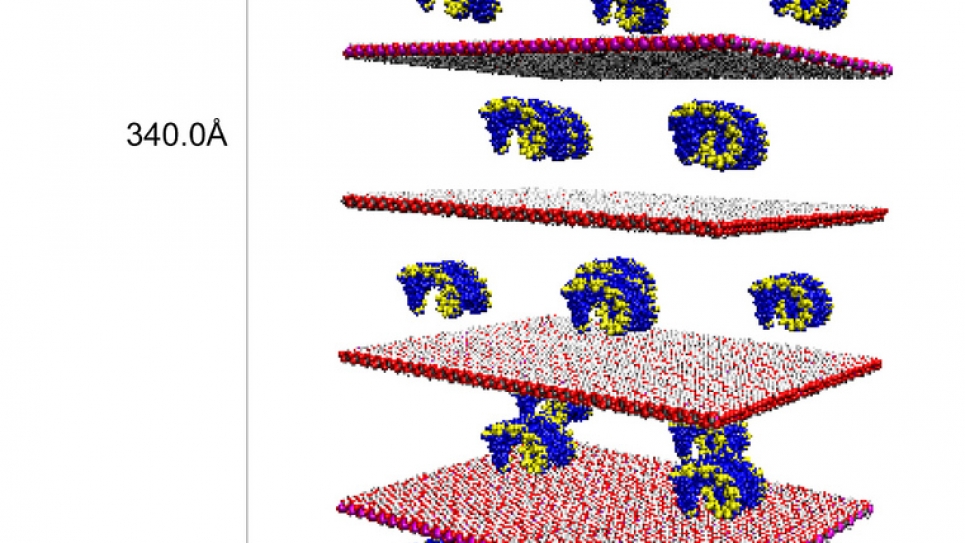Large-Scale Condensed Matter and Fluid Dynamics Simulations
