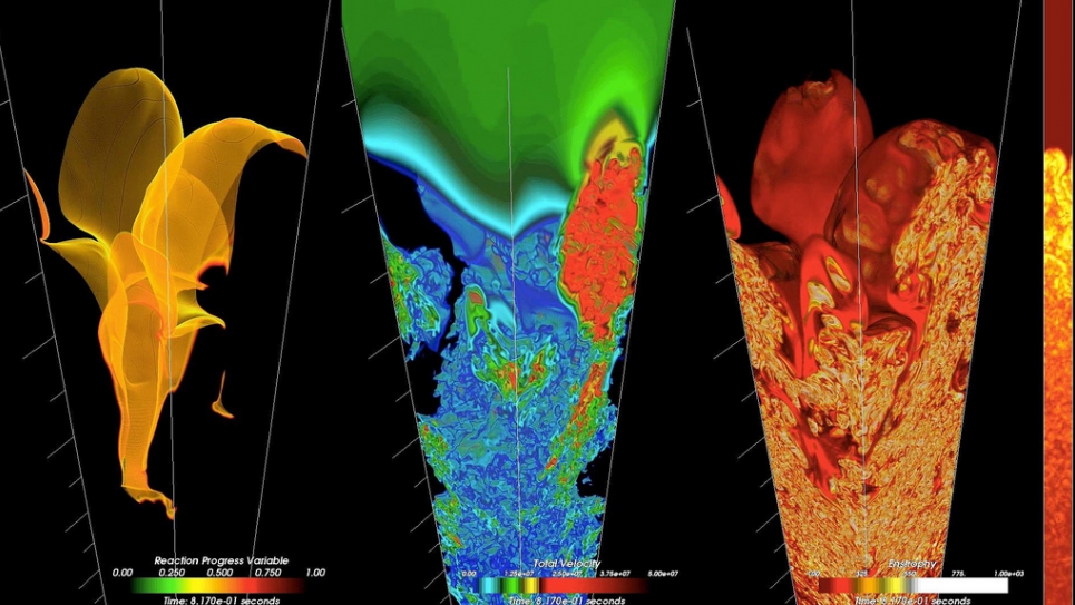Visualizations of nuclear combustion in a supernova visualizations of nuclear combustion in a supernova